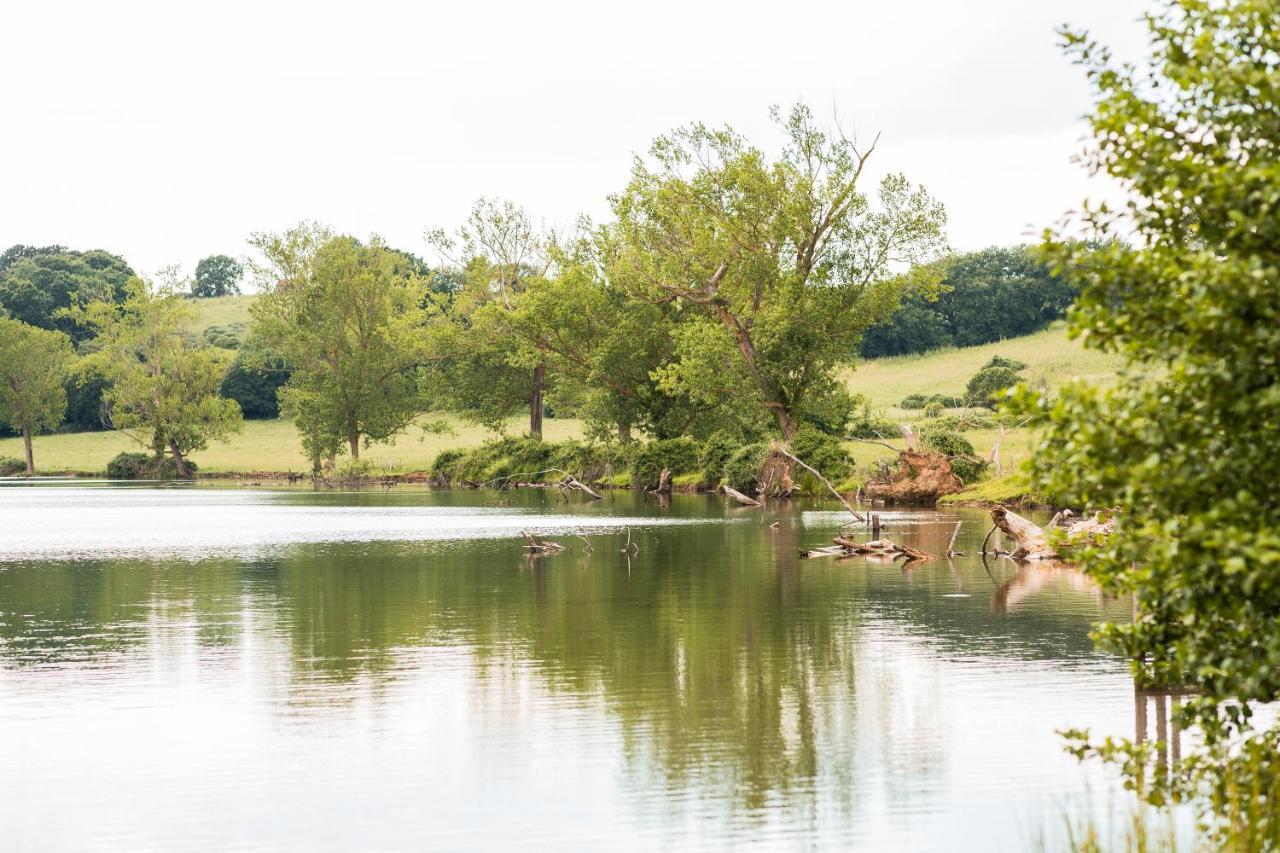 Agriturismo Lago Di Mezzano Valentano المظهر الخارجي الصورة